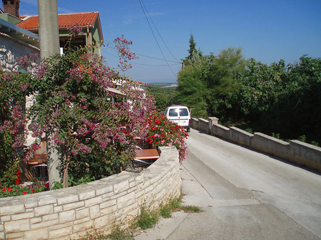 Fotos Auf der Straße