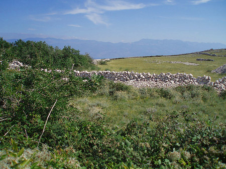 Foto Felsen