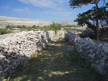 Foto Felsen - Baška