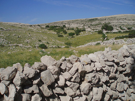 Felsen